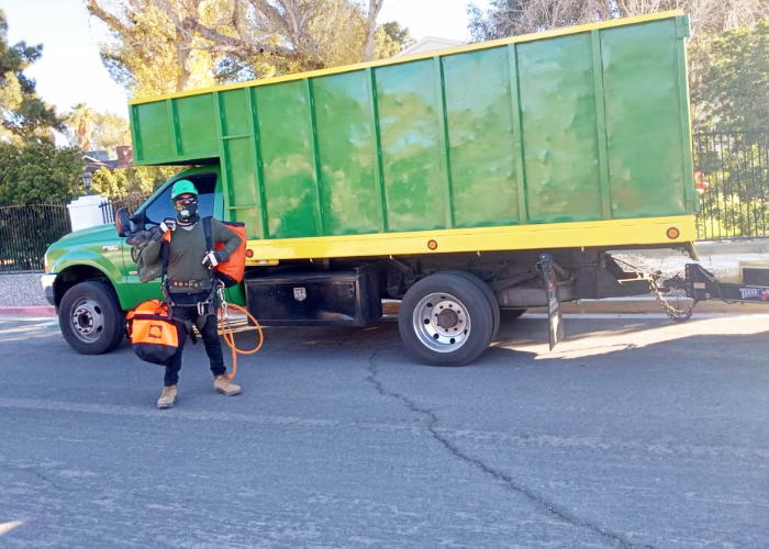 Tree Removal in Las Vegas