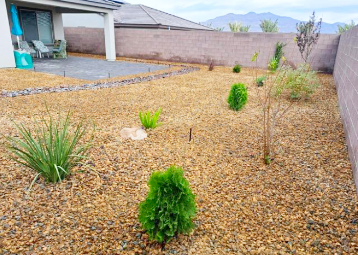 zero scaping company